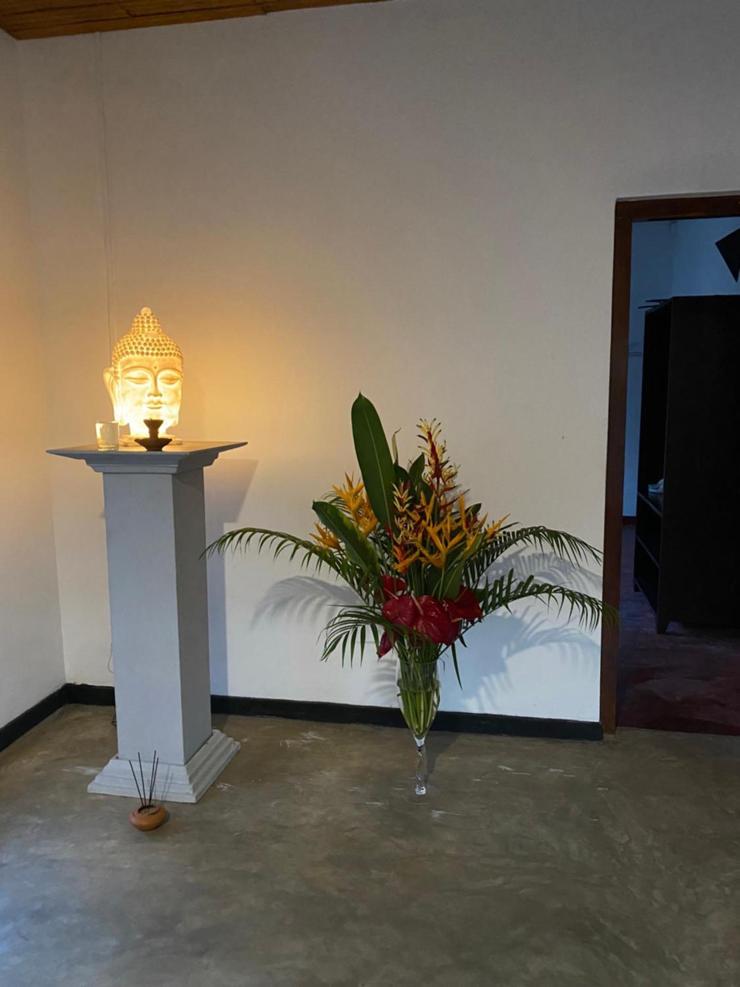 Hotel The Calm Palm Hikkaduwa Exterior foto