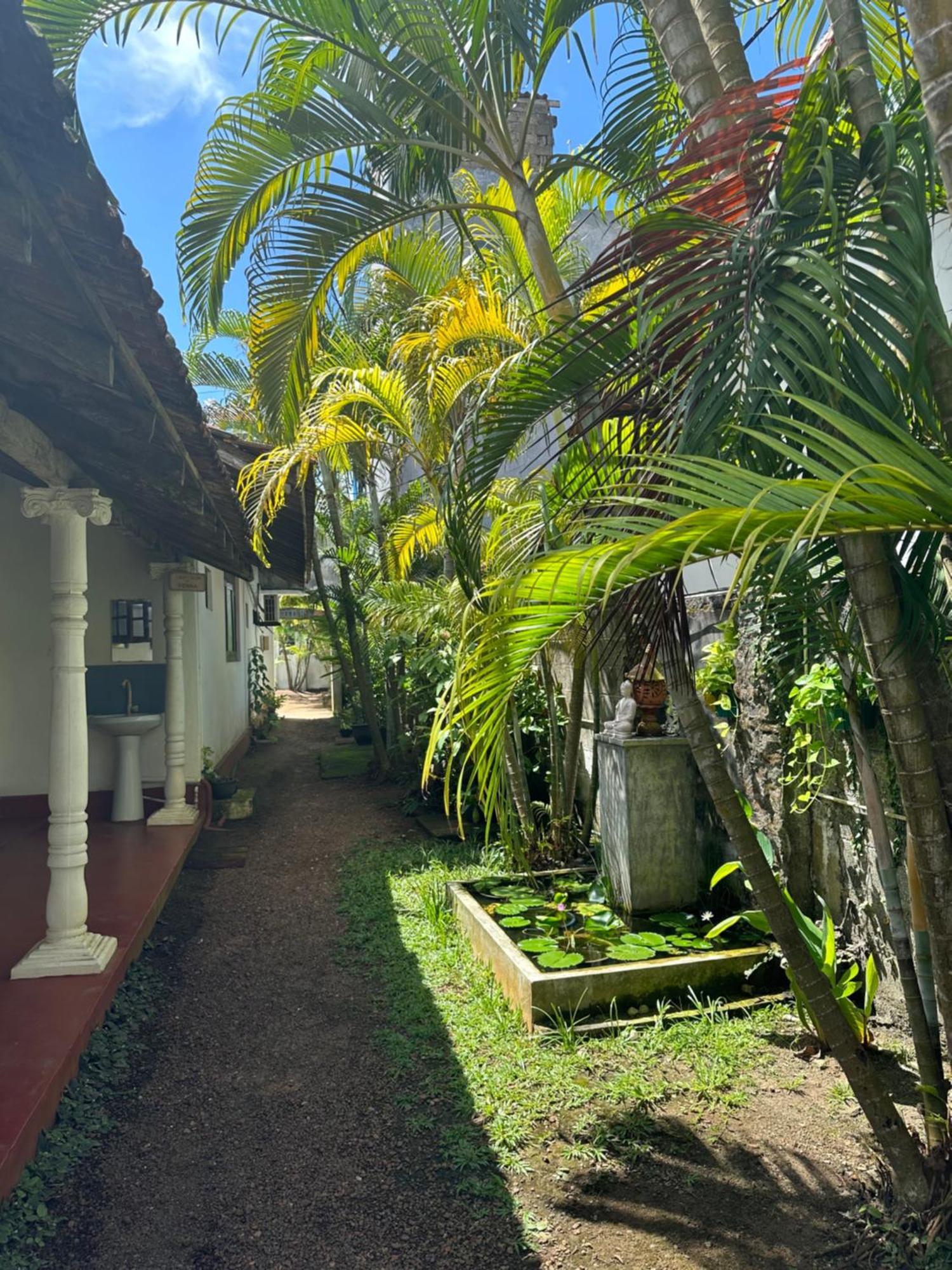 Hotel The Calm Palm Hikkaduwa Exterior foto